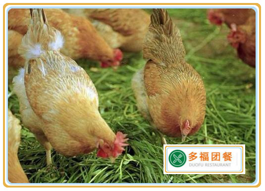 u=2564149983,3622366031&fm=26&gp=0.jpg u=2564149983,3622366031&fm=26&gp=0.jpg